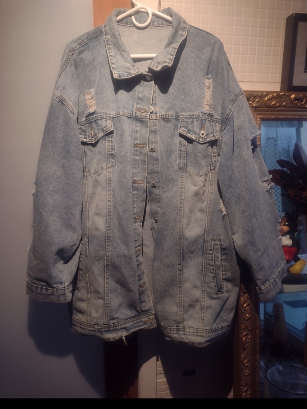 Light Wash Distressed Denim Jacket